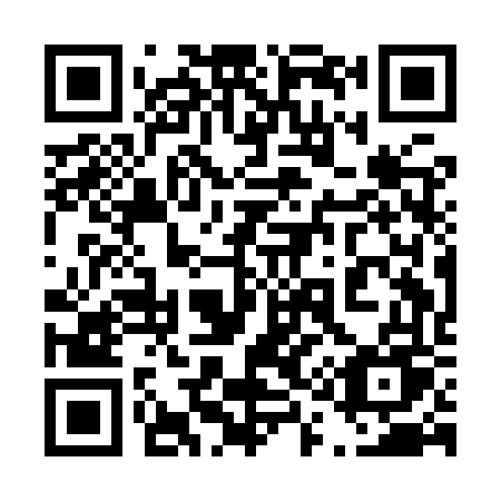 QR code for plate 411-IVU