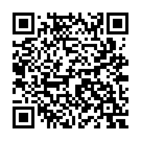 QR code for 411SIM