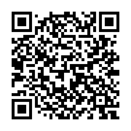 QR code for 411UDI