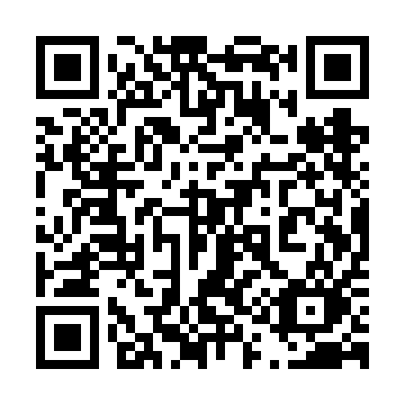 QR code for plate 411-VAO