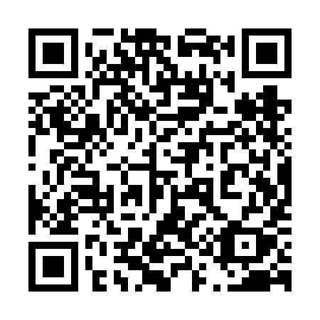 QR code for 411VIY