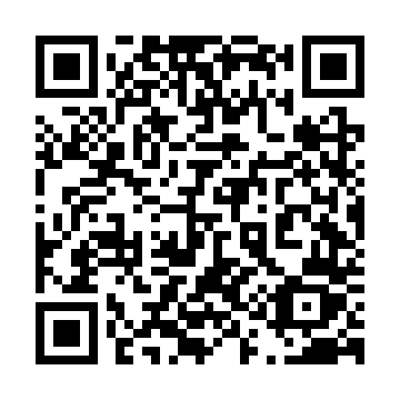 QR code for plate 416-CTZ