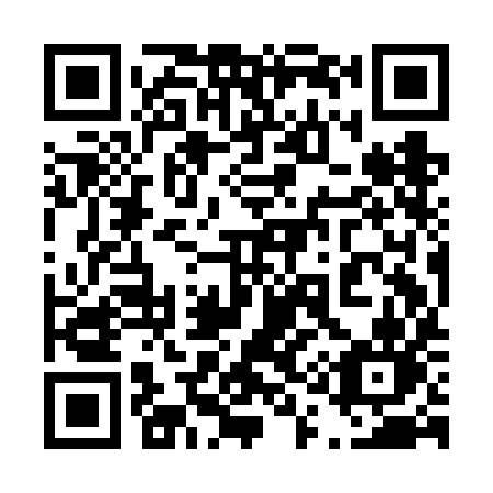 QR code for 419-FIN