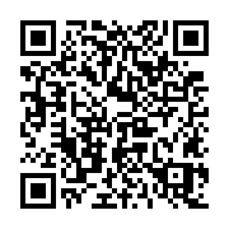 QR code for 419-GLS