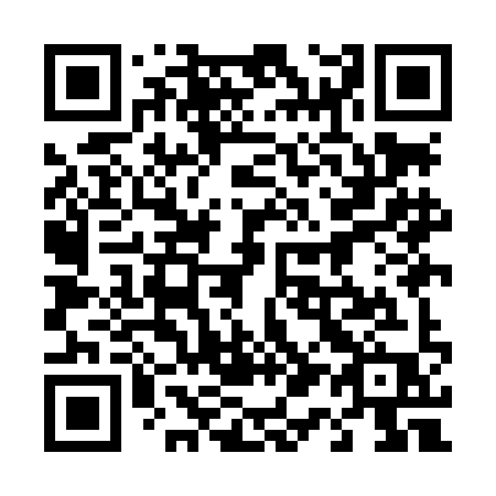 QR code for 419-LIP