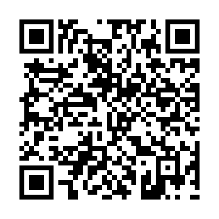 QR code for 419-YIM