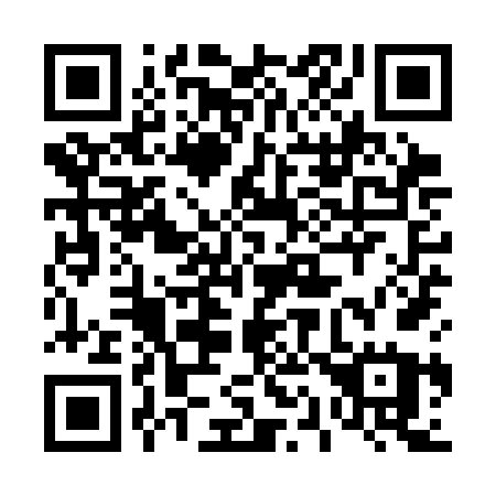 QR code for plate 419-SFU