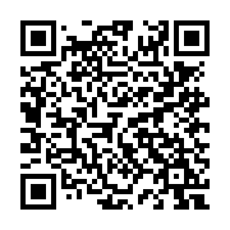 QR code for 425-NEM