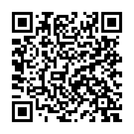 QR code for plate 425-MRG