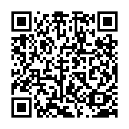 QR code for plate 435-SAY