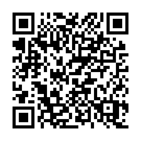 QR code for plate 441-NST