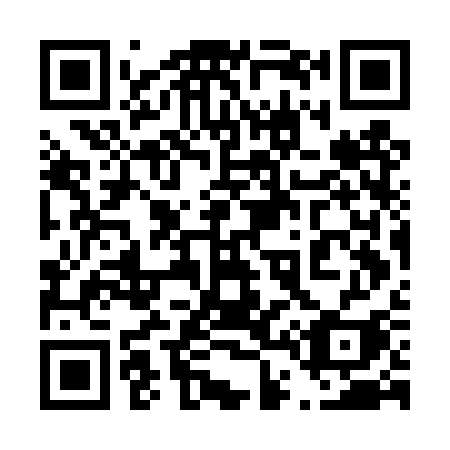QR code for 447DSI