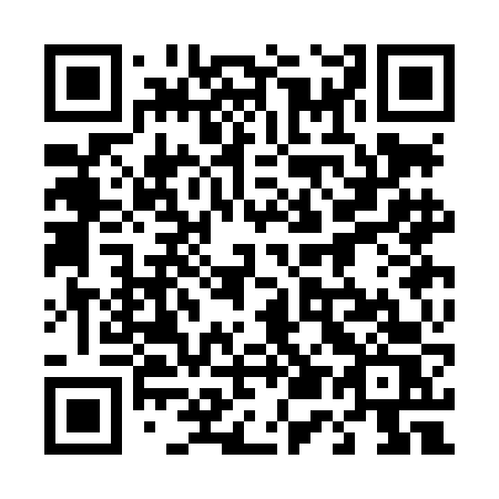 QR code for 453-LFS