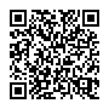 QR code for 463-IFP
