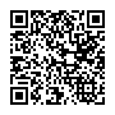 QR code for 463-NAN