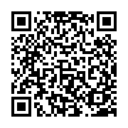 QR code for 463-PTQ
