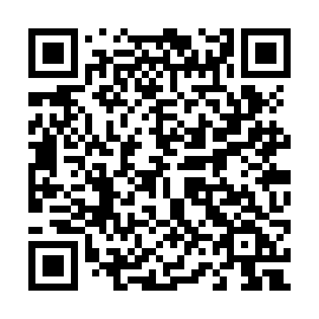 QR code for 463-ZJF
