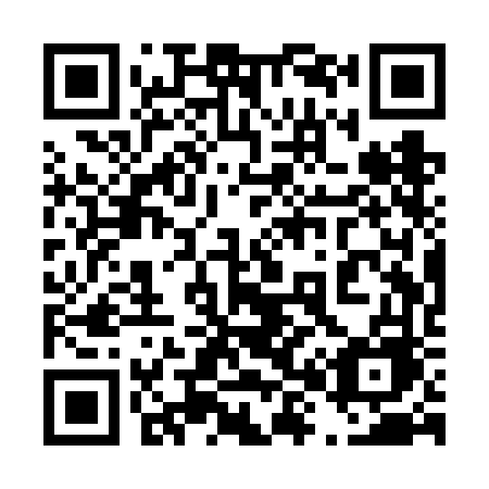 QR code for plate 481-VFE