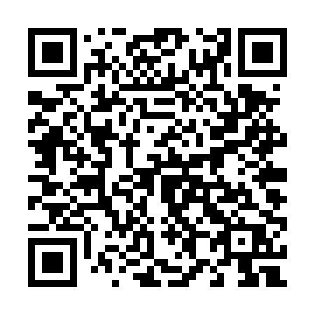 QR code for plate 484-TPP