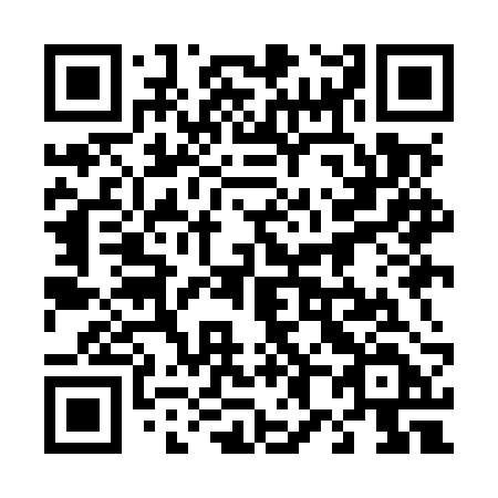 QR code for plate 489-MRD