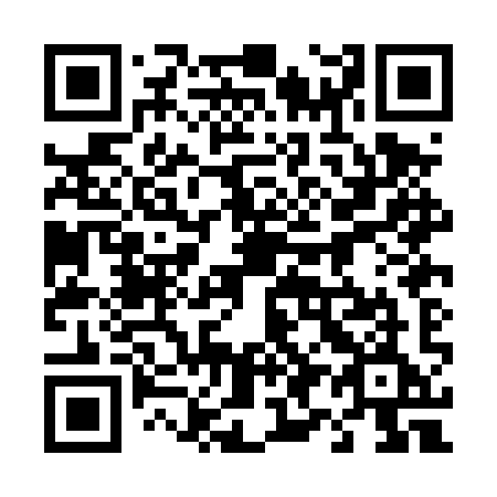 QR code for plate 490-DYE
