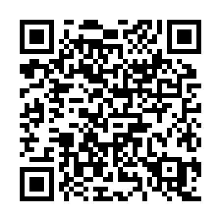 QR code for plate 491-JXA