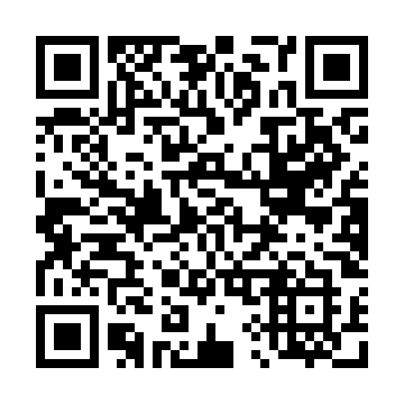 QR code for plate 491-KOK