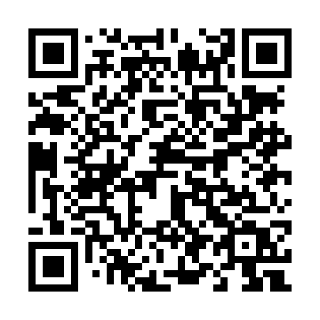 QR code for plate 491-LGT