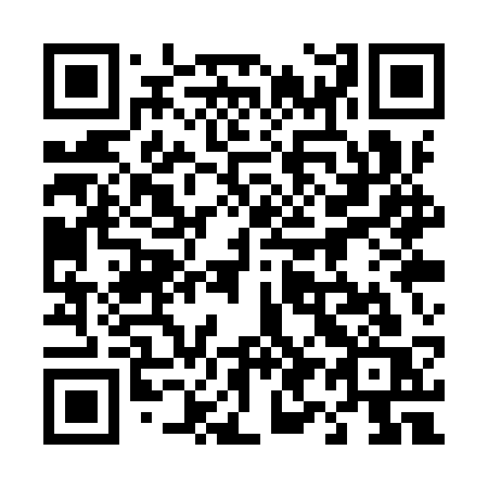 QR code for plate 491-YSS