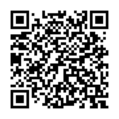 QR code for 493-BIQ