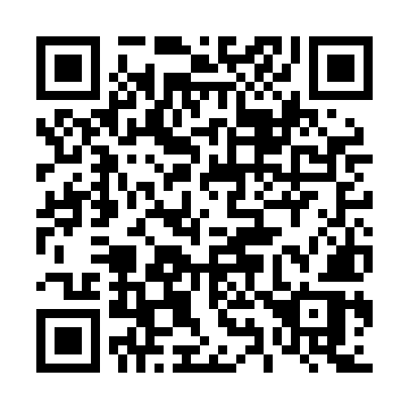 QR code for 493-LMR