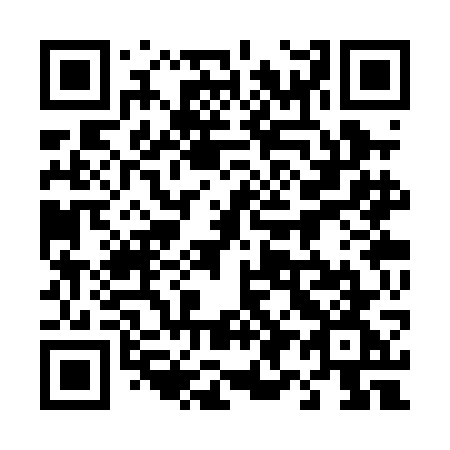 QR code for 493-PGG