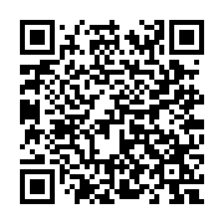 QR code for 493-PNO
