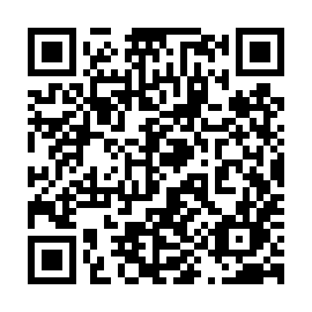 QR code for 493-TXL