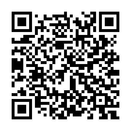 QR code for 493-ZNB