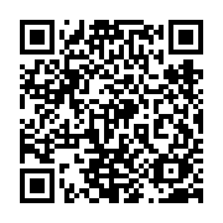 QR code for 493FEM