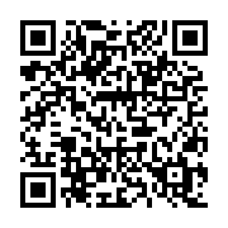QR code for 493HNL