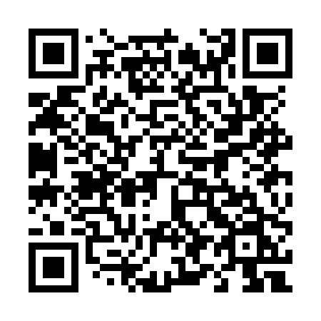 QR code for plate 493-OPN