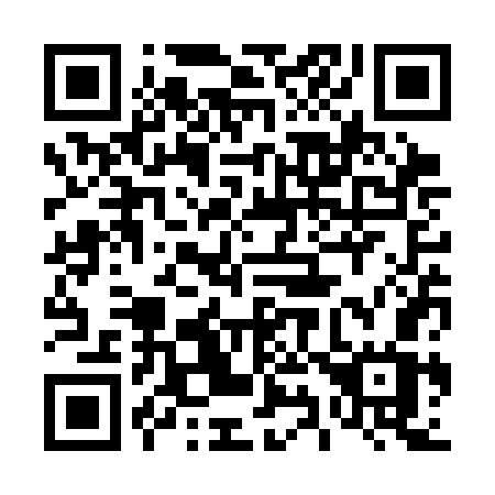 QR code for plate 493-SGW