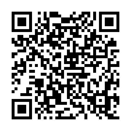 QR code for plate 496-OWO