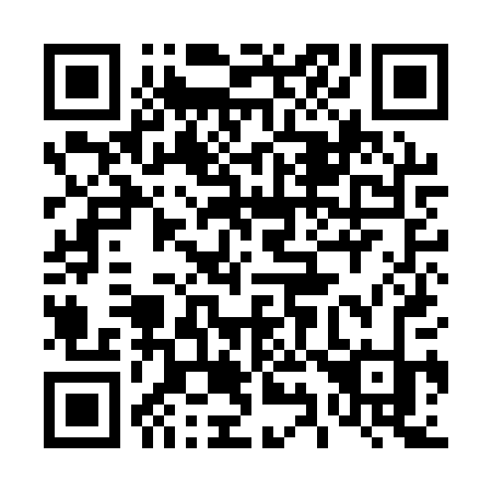 QR code for 499APK