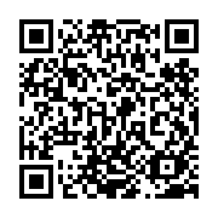 QR code for 499DIM