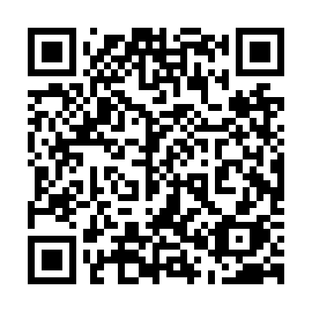 QR code for plate 500-NSH