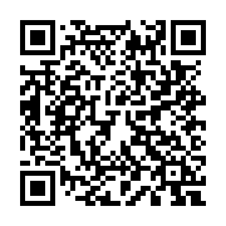 QR code for plate 500-OZH