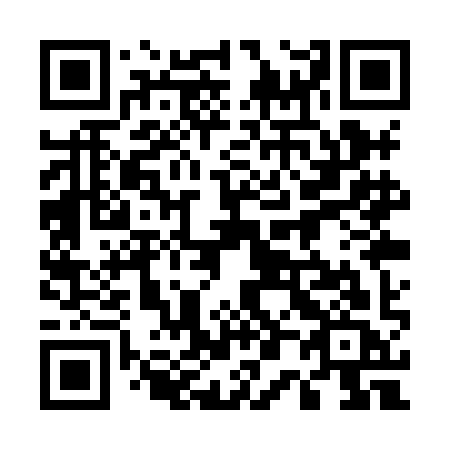 QR code for plate 501-XIC