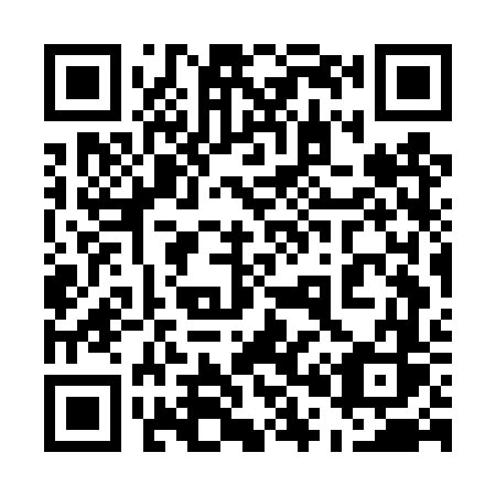 QR code for 507-DVS