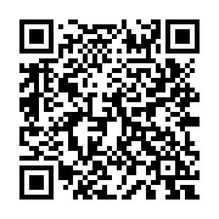 QR code for 509-ZXI