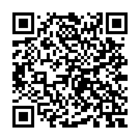 QR code for 511-PTK