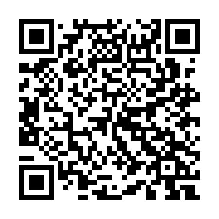 QR code for plate 511-ADG