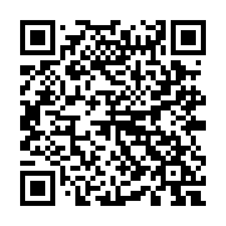 QR code for 519-PEG